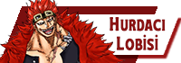Hurdacı Lobisi