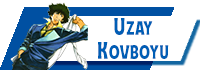 Uzay Kovboyu